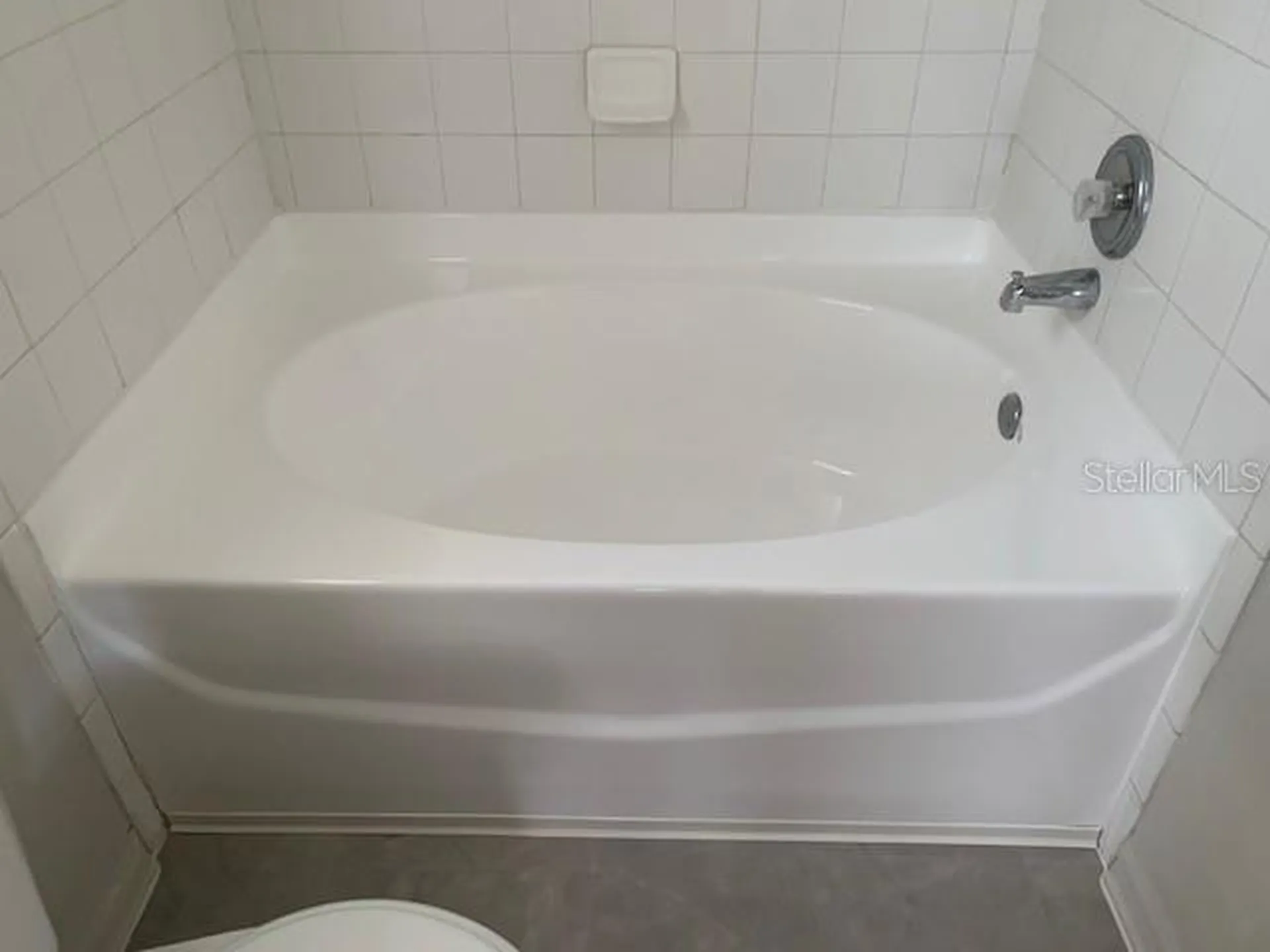 11802 Lynmoor Drive Riverview FL 33579