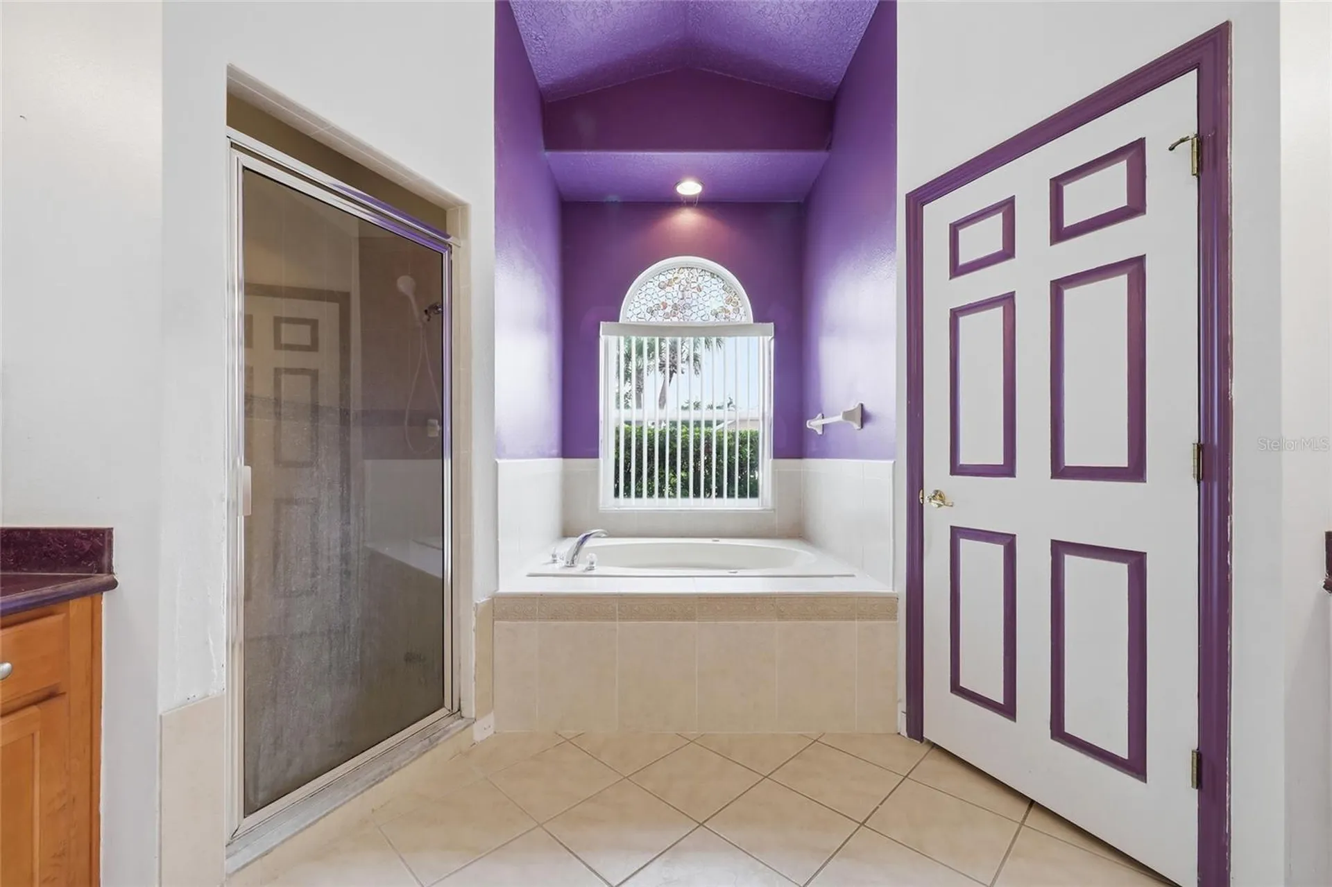 208 Corvina Drive Davenport FL 33897