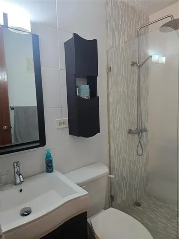 368 Camino Las Picuas Rio Grande PR 00745