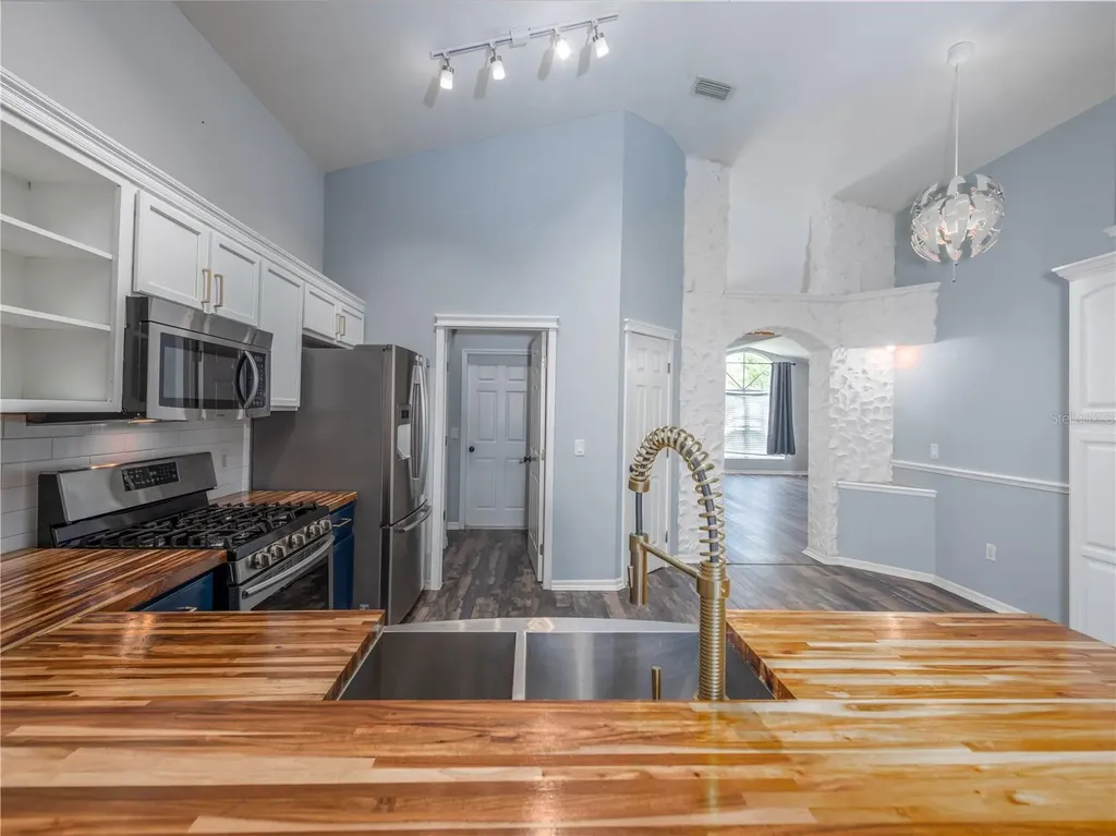 12541 Blazing Star Drive Tampa FL 33626