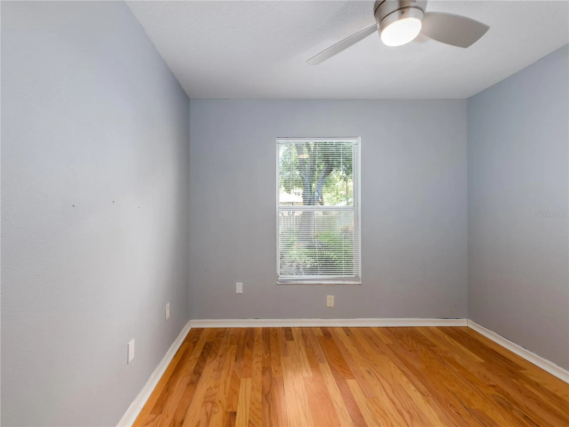 12541 Blazing Star Drive Tampa FL 33626