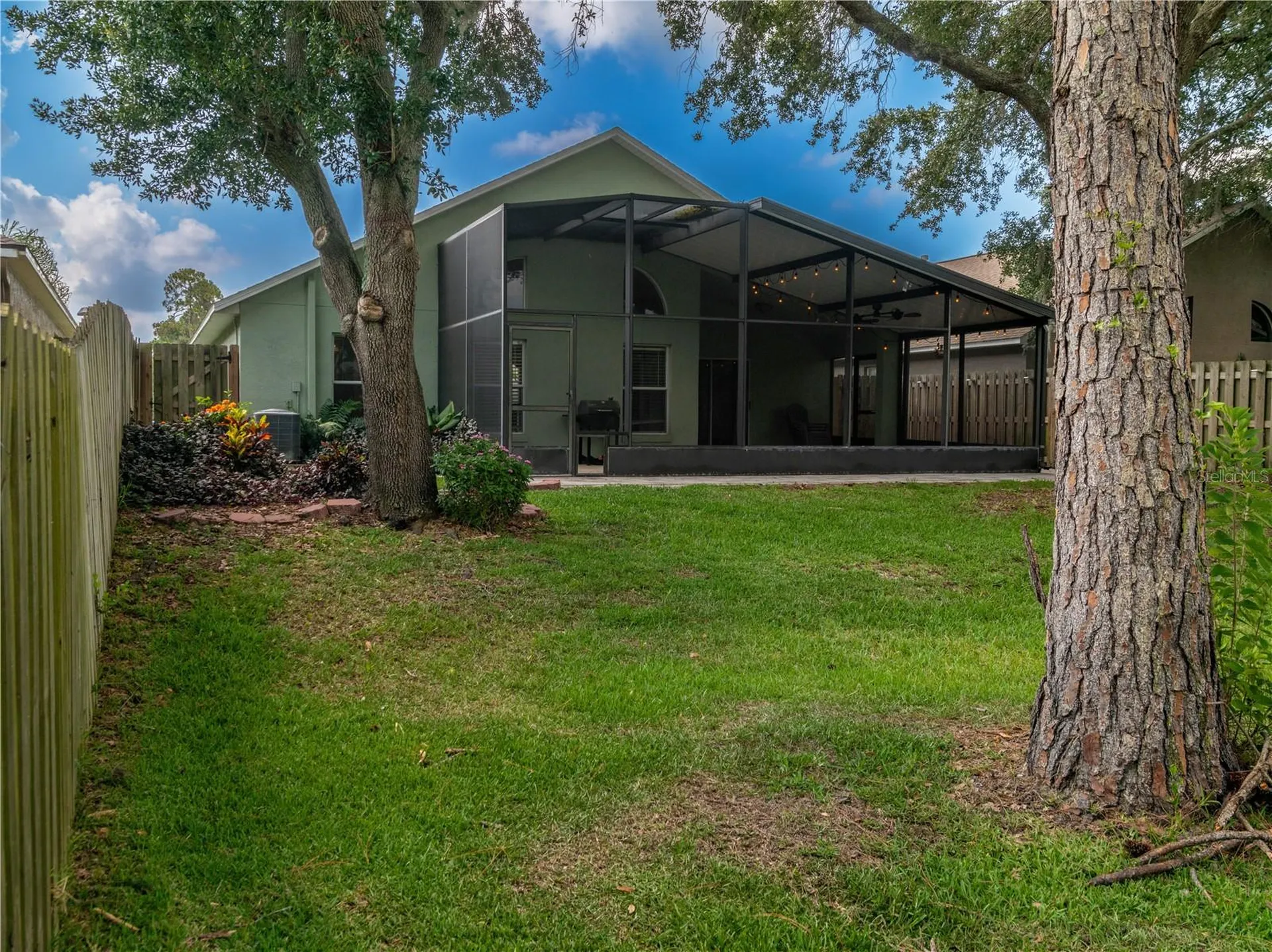 12541 Blazing Star Drive Tampa FL 33626