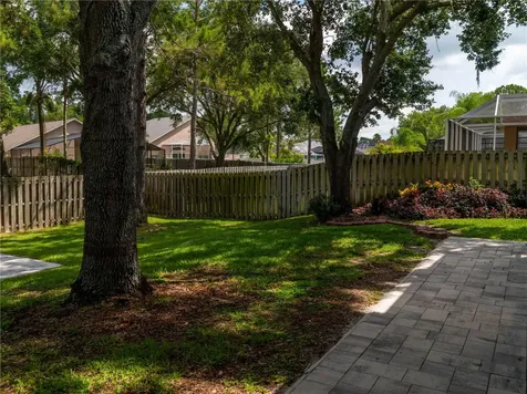 12541 Blazing Star Drive Tampa FL 33626