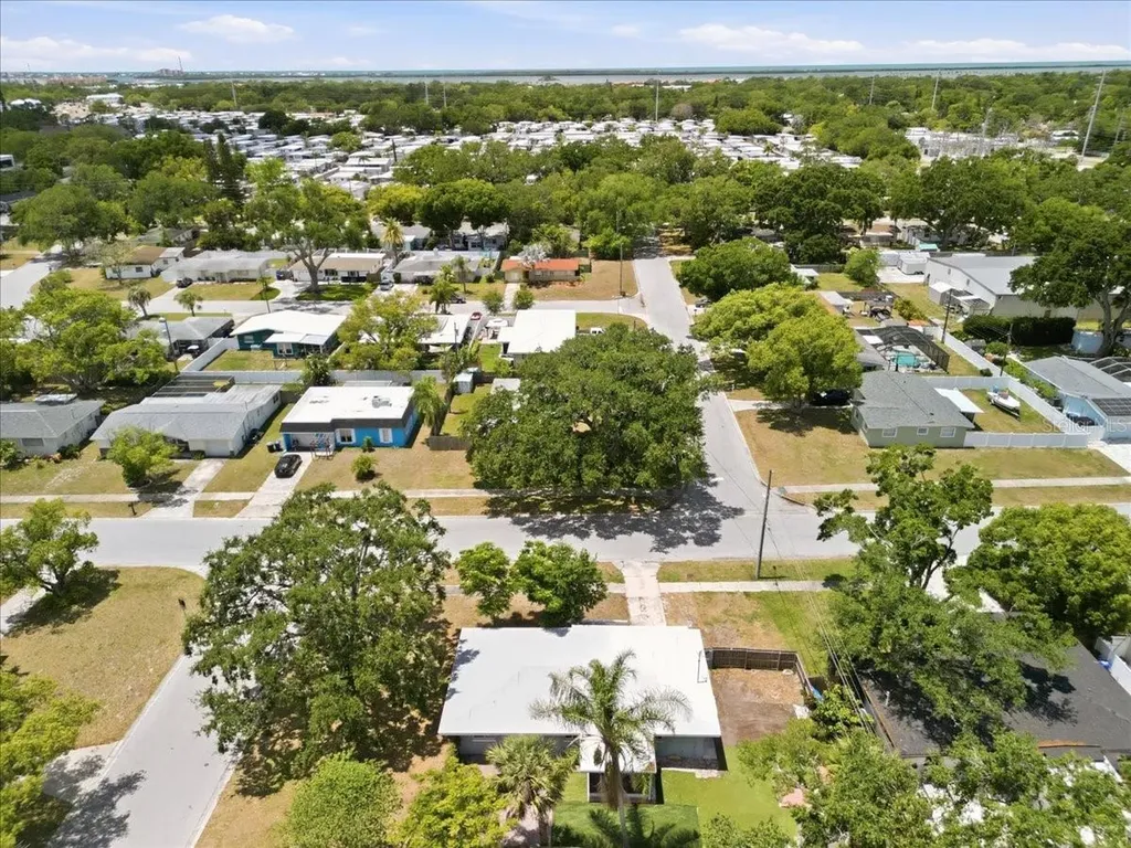 1317 Lady Marion Lane Dunedin FL 34698