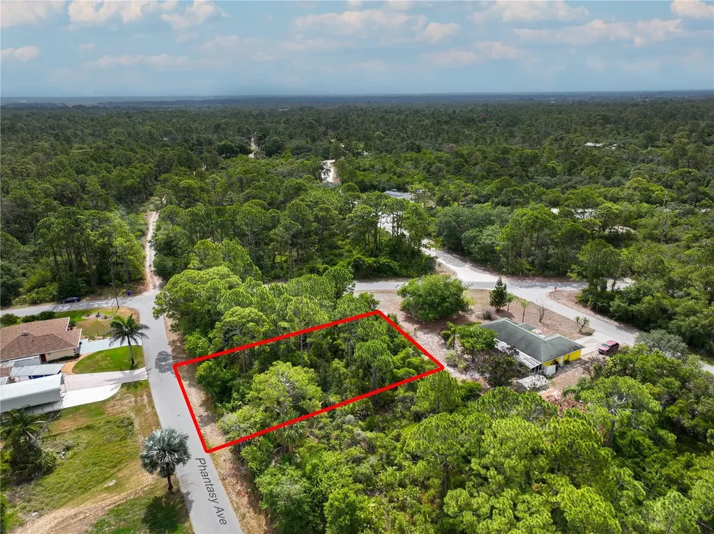 241 Phantasy Avenue Lake Placid FL 33852
