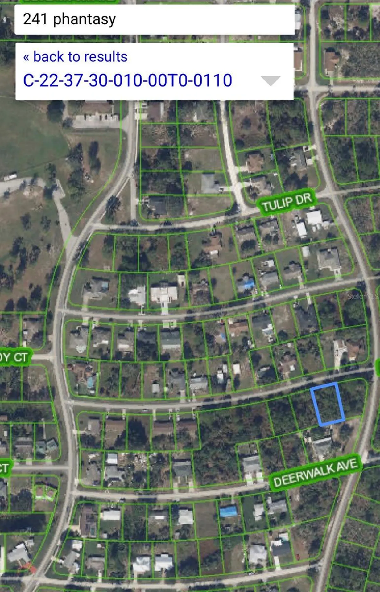241 Phantasy Avenue Lake Placid FL 33852