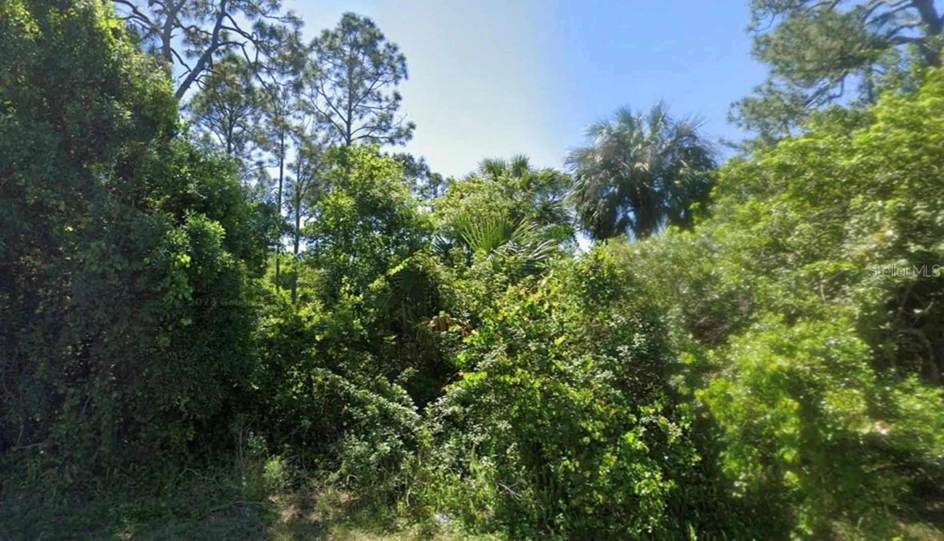241 Phantasy Avenue Lake Placid FL 33852