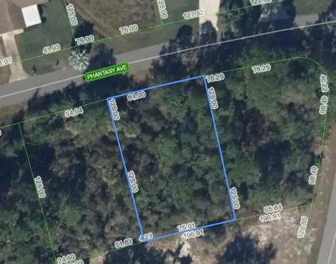 241 Phantasy Avenue Lake Placid FL 33852