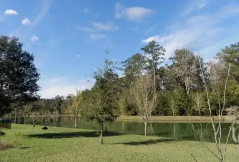 8135 NW 54th Street Gainesville FL 32653