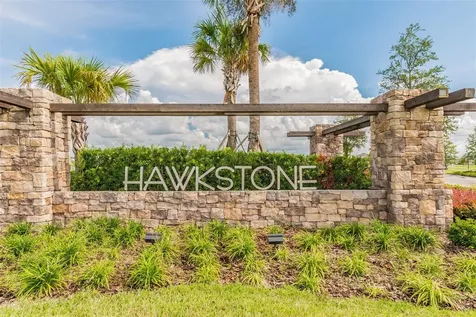 14622 Red Castle Avenue Lithia FL 33547