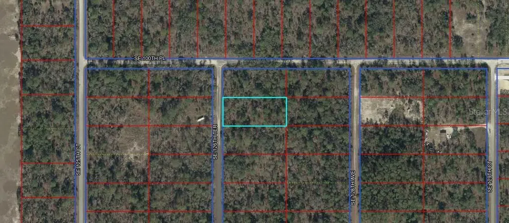 00 SE 126th Terrace Dunnellon FL 34431