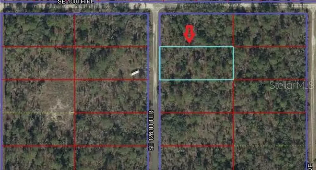 00 SE 126th Terrace Dunnellon FL 34431