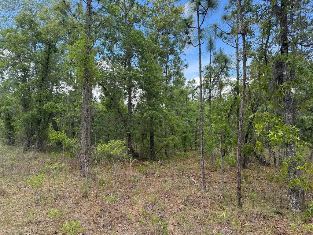 00 SE 126th Terrace Dunnellon FL 34431