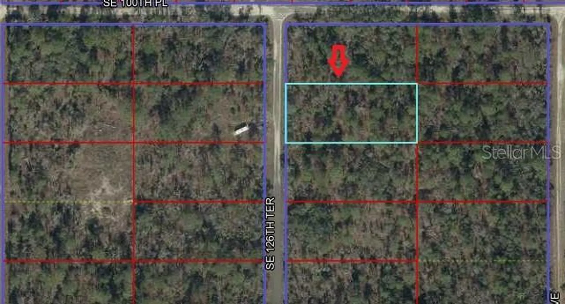 00 SE 126th Terrace Dunnellon FL 34431