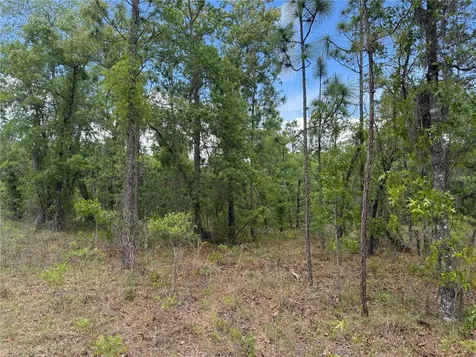 00 SE 126th Terrace Dunnellon FL 34431