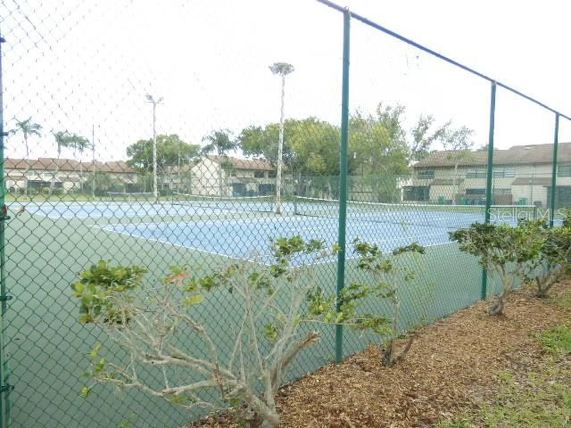 9209 Seminole Boulevard Seminole FL 33772