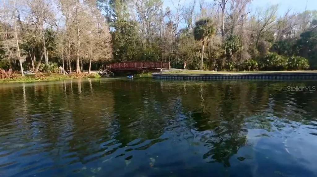 30513 Prestwick Avenue Sorrento FL 32776
