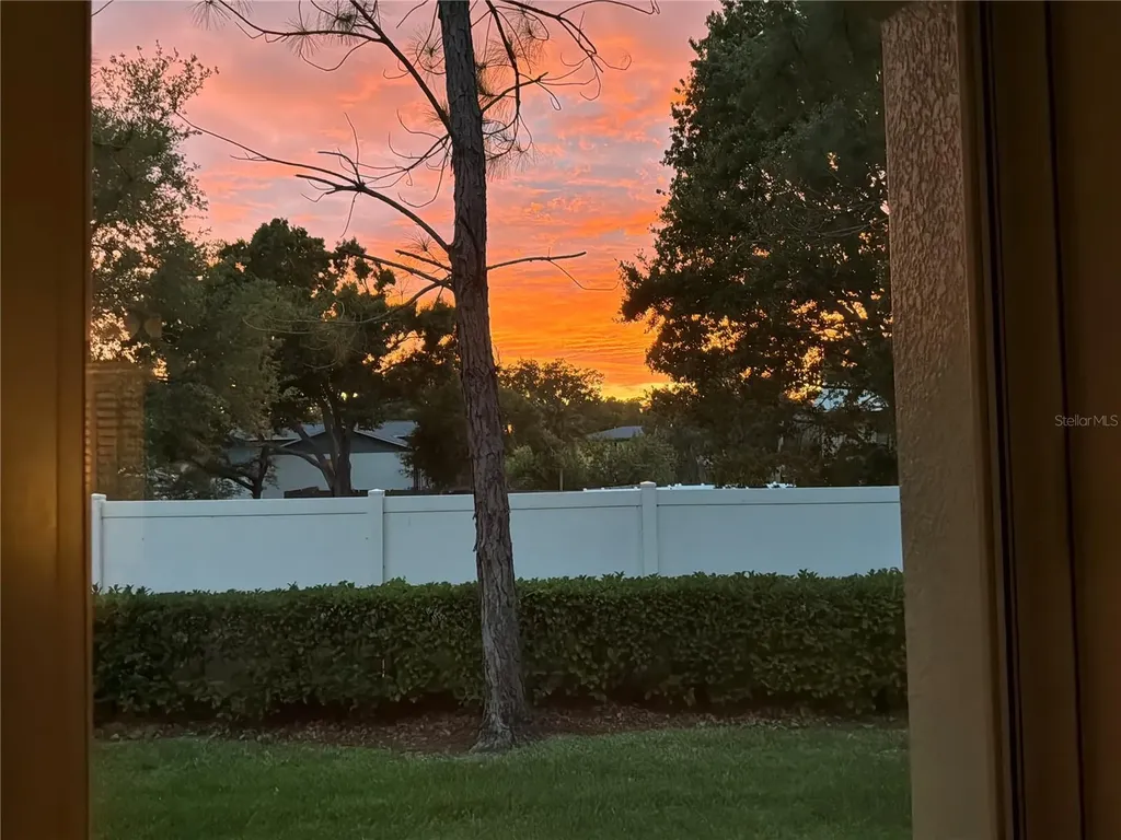 295 N Harbor Drive Palm Harbor FL 34683