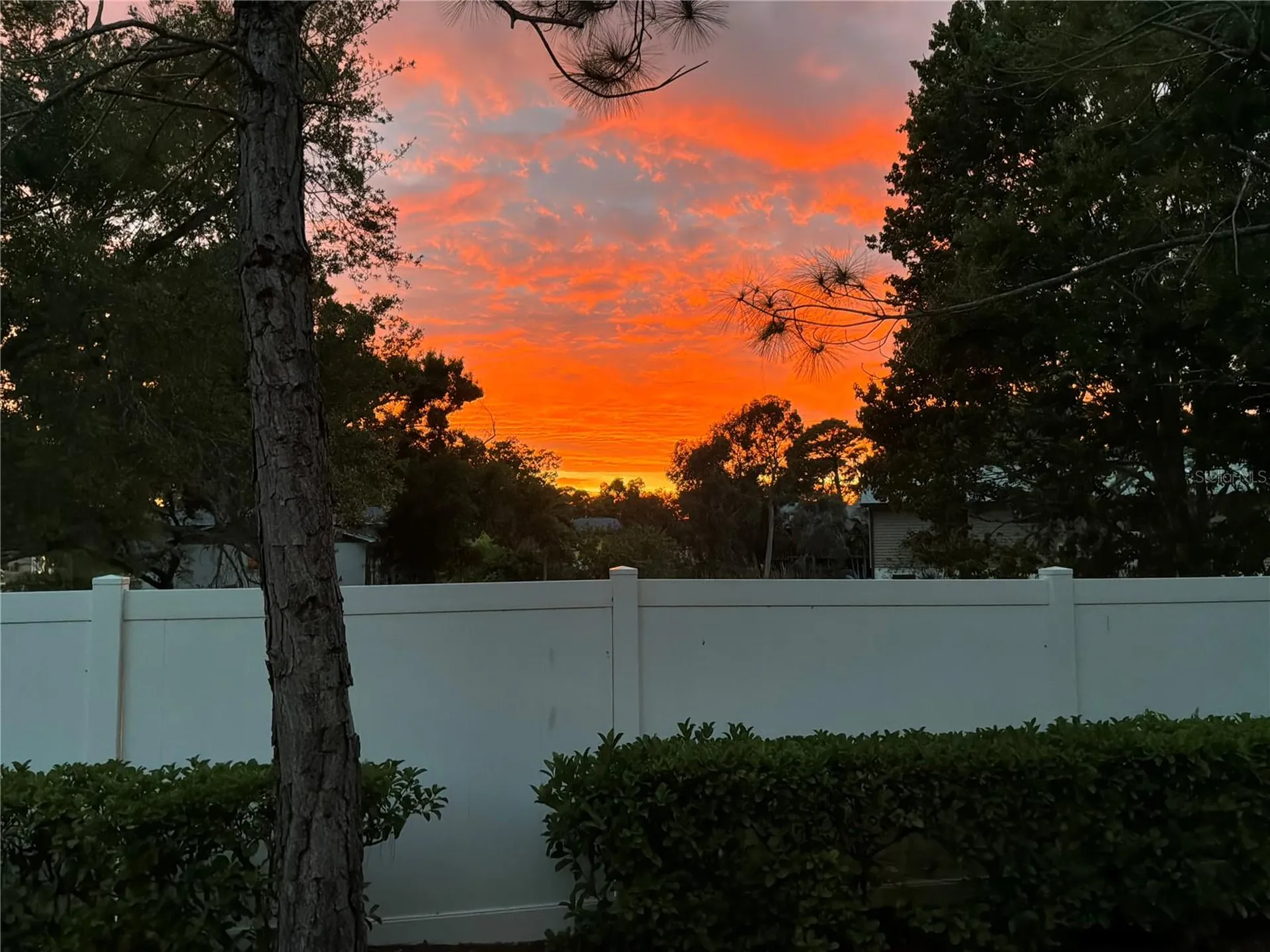 295 N Harbor Drive Palm Harbor FL 34683