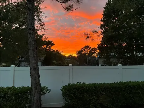 295 N Harbor Drive Palm Harbor FL 34683