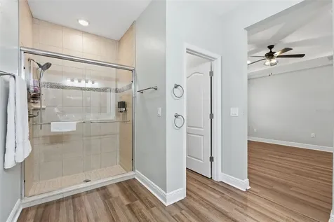 31068 Jazz Leaf Place San Antonio FL 33576