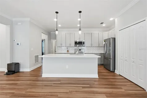 31068 Jazz Leaf Place San Antonio FL 33576