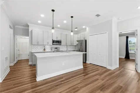 31068 Jazz Leaf Place San Antonio FL 33576