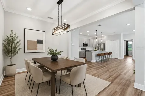 31068 Jazz Leaf Place San Antonio FL 33576