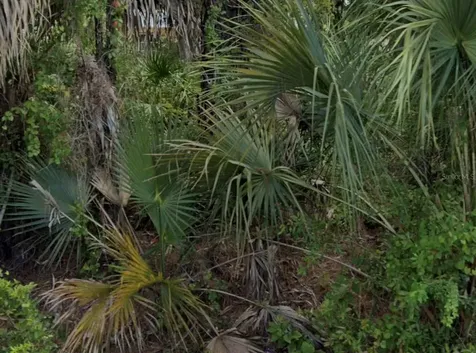 7879 Grafton Road North Port FL 34291