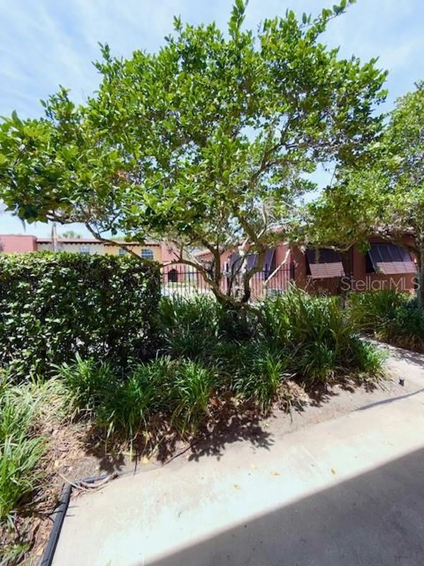 1523 Catherine Street Orlando FL 32801