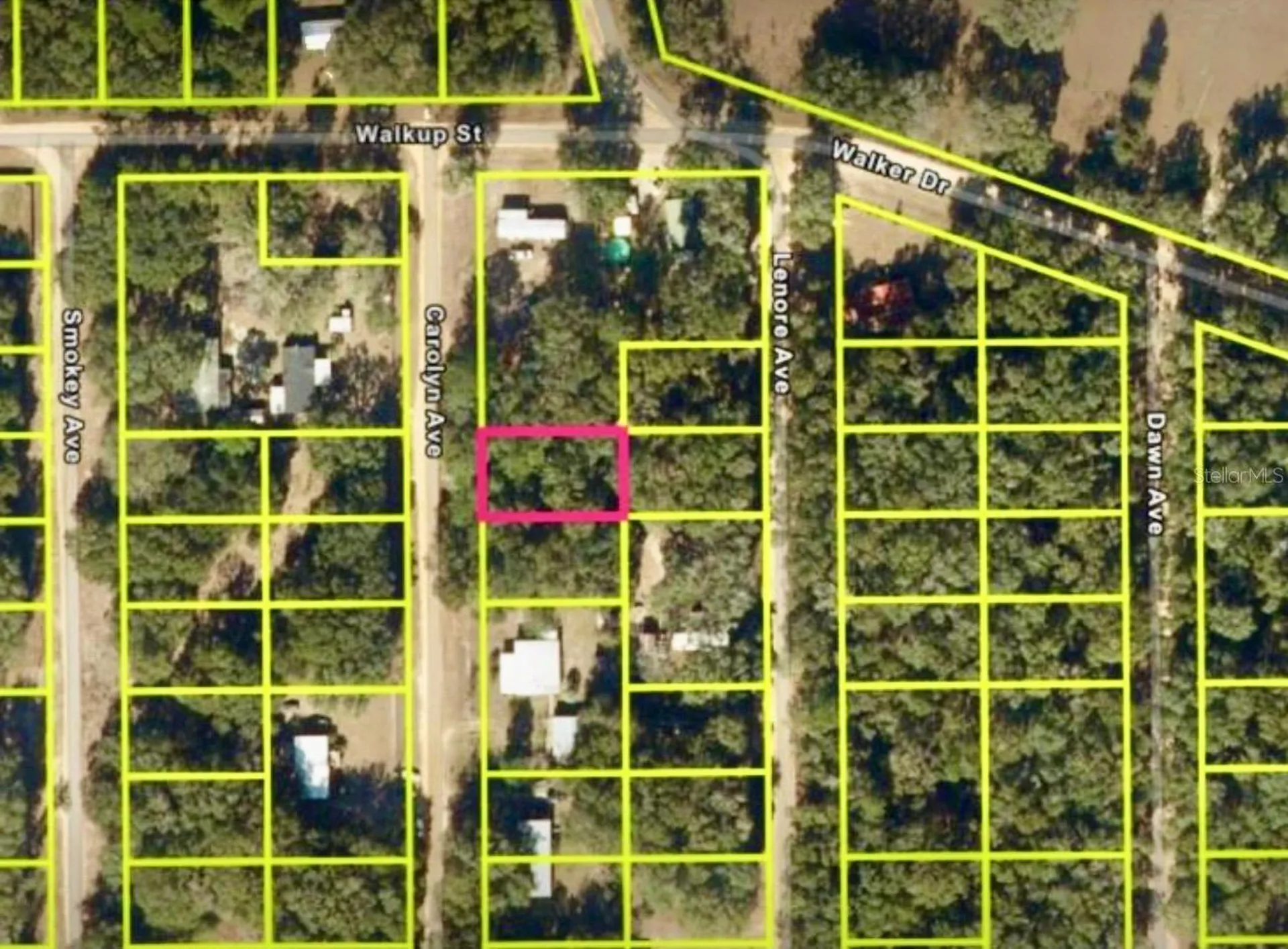 Carolyn Avenue Interlachen FL 32148