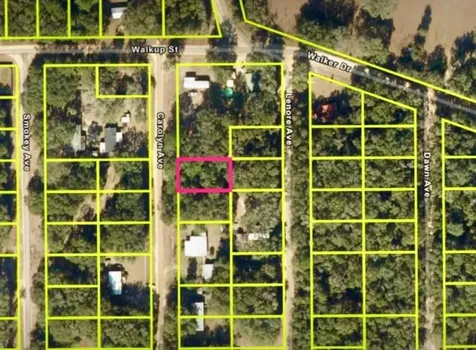 Carolyn Avenue Interlachen FL 32148