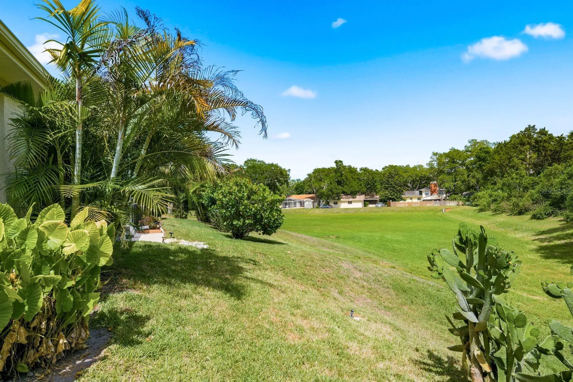 1796 Painted Bunting Circle Palm Harbor FL 34683
