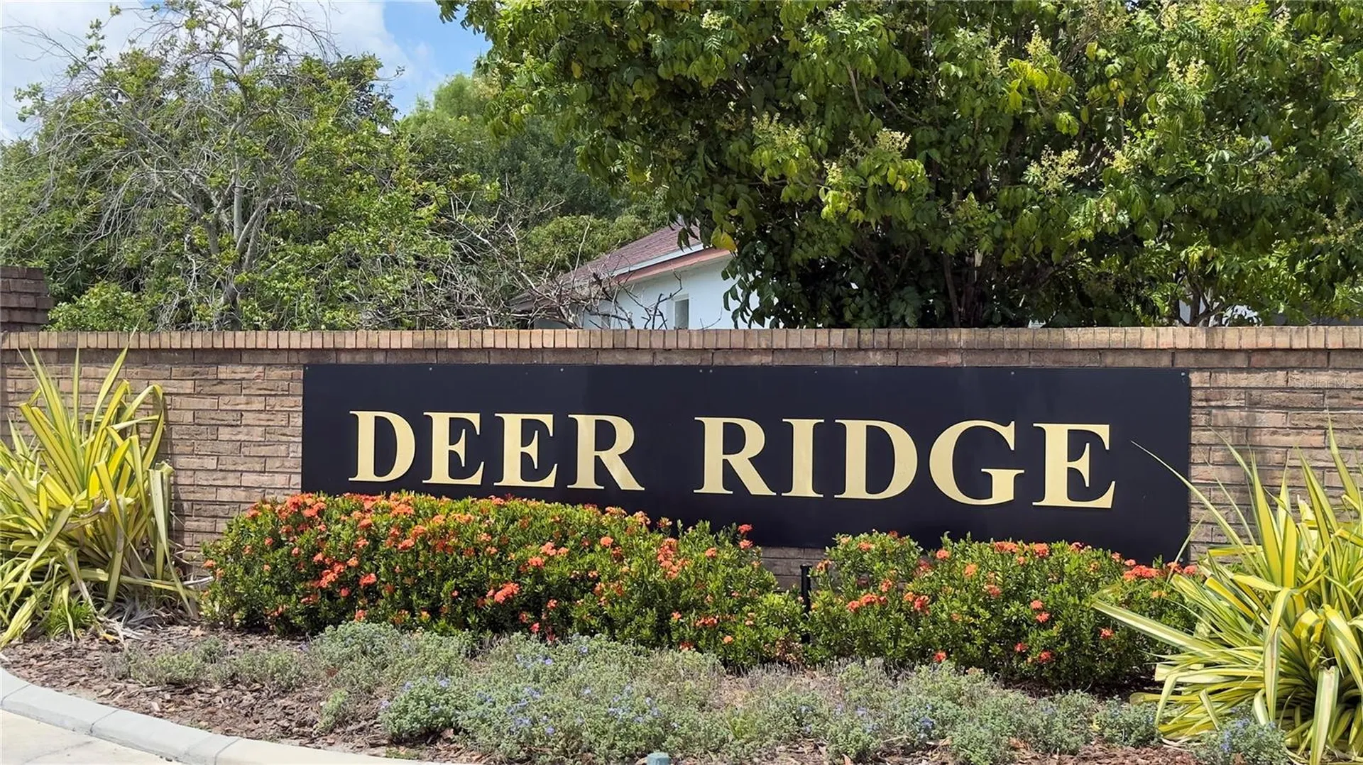 2218 Newt Street Orlando FL 32837