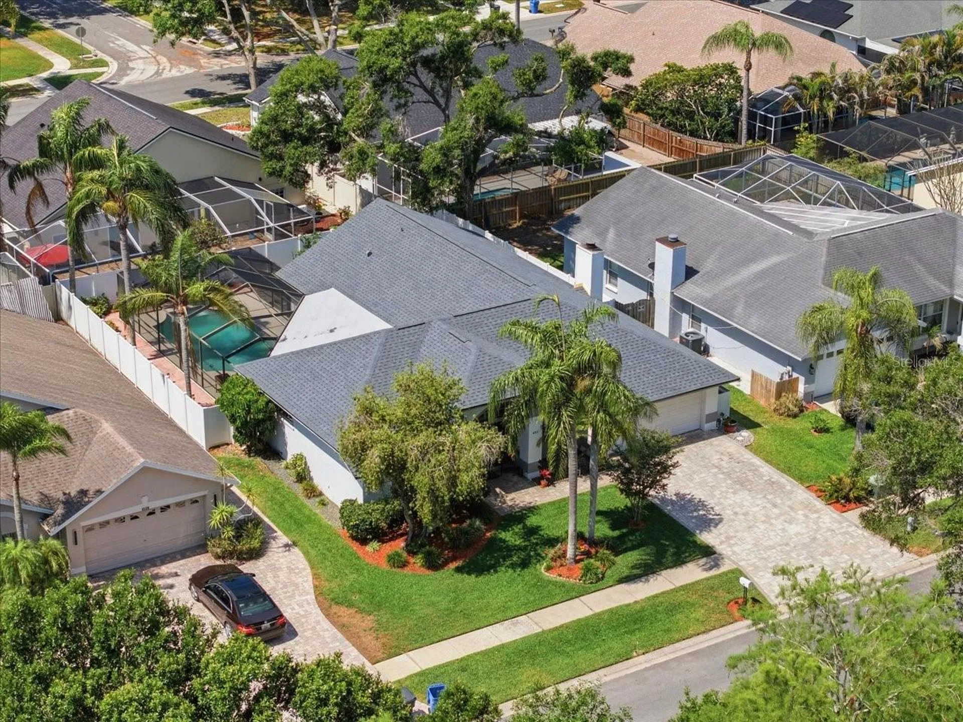 6512 Steeplechase Drive Tampa FL 33625