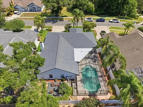 6512 Steeplechase Drive Tampa FL 33625