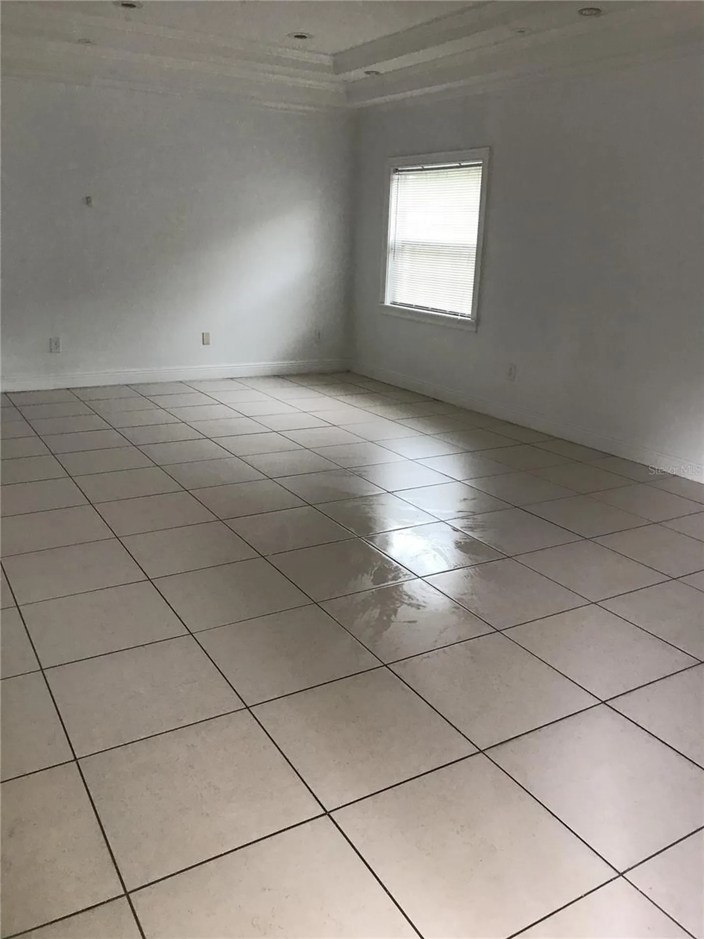 1911 May Street Brandon FL 33510