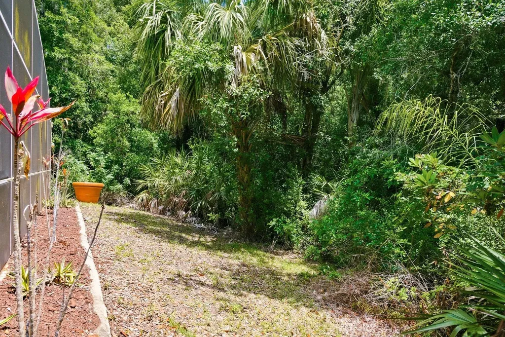 420 Cypress View Drive Oldsmar FL 34677