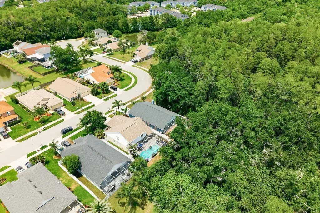 420 Cypress View Drive Oldsmar FL 34677