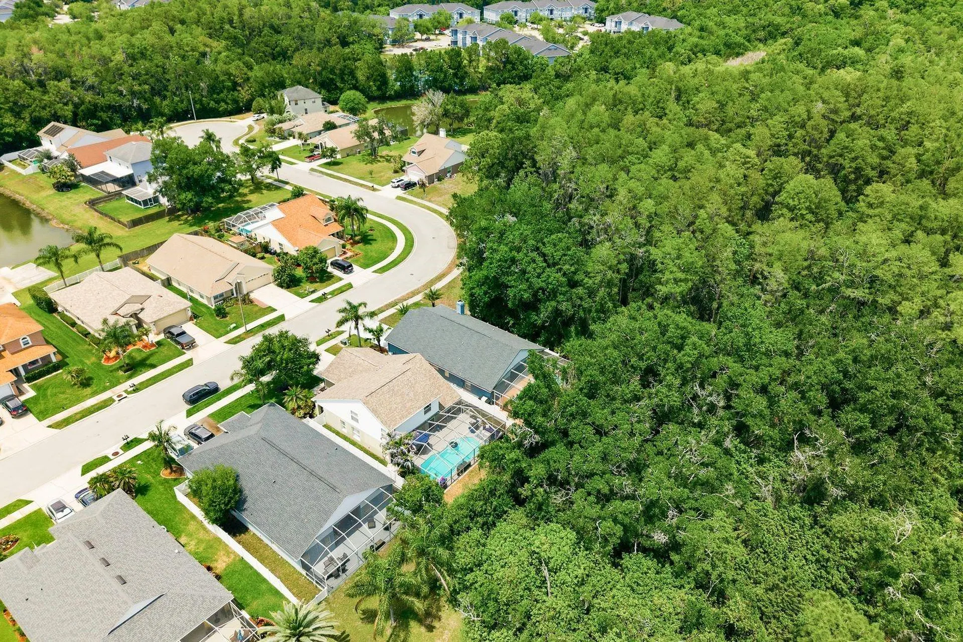 420 Cypress View Drive Oldsmar FL 34677
