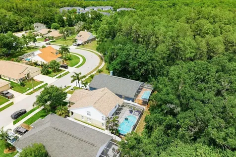 420 Cypress View Drive Oldsmar FL 34677