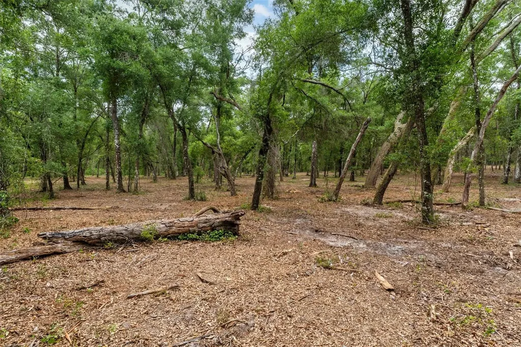 6341 Nile Avenue Webster FL 33597