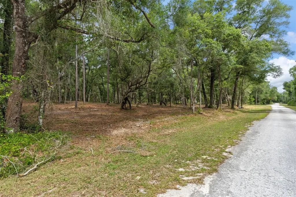 6341 Nile Avenue Webster FL 33597