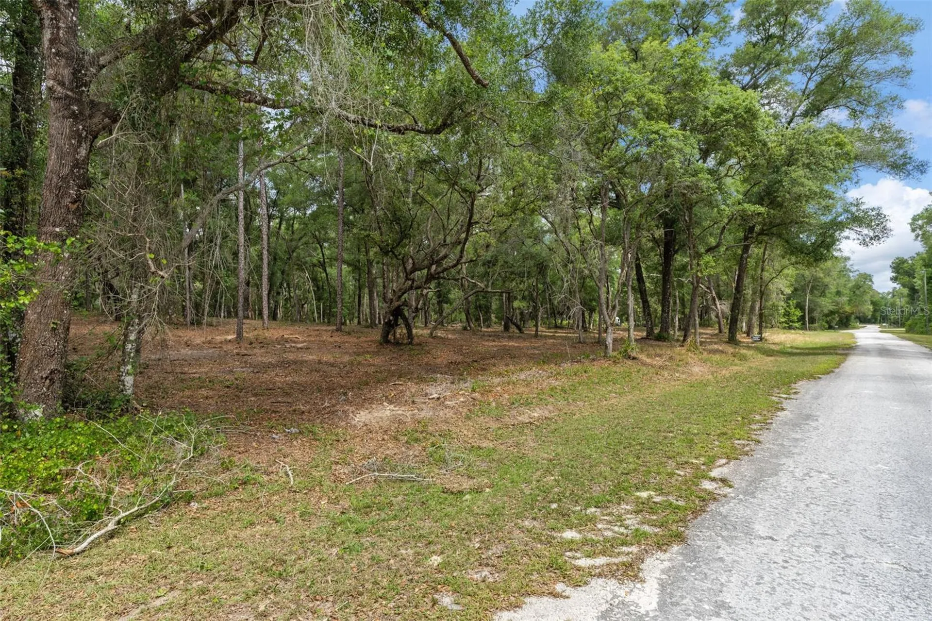 6341 Nile Avenue Webster FL 33597