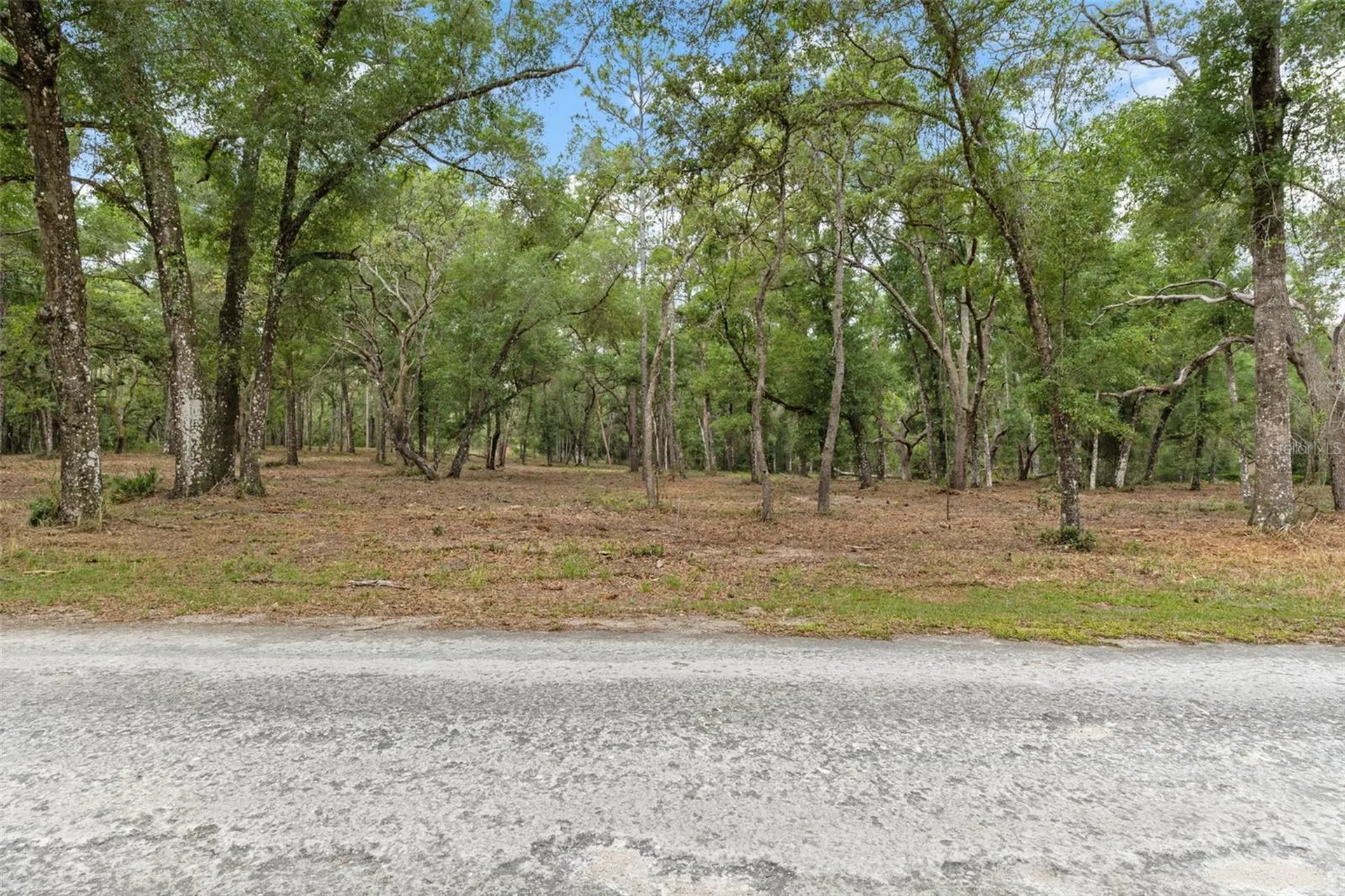 6341 Nile Avenue Webster FL 33597