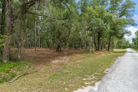 6341 Nile Avenue Webster FL 33597