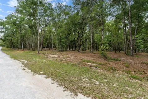 6341 Nile Avenue Webster FL 33597