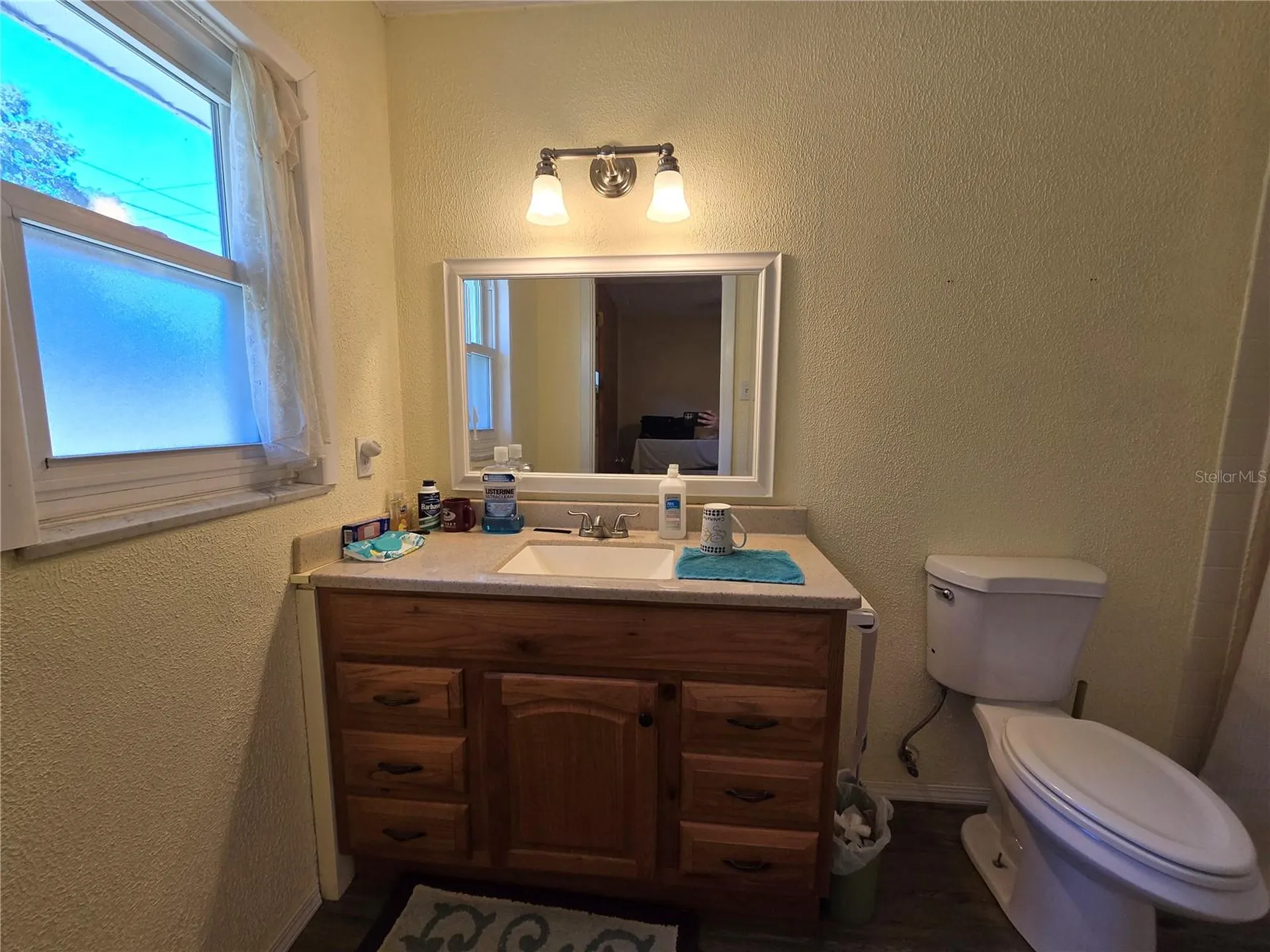 12882 E Wheeler Brandon FL 33511