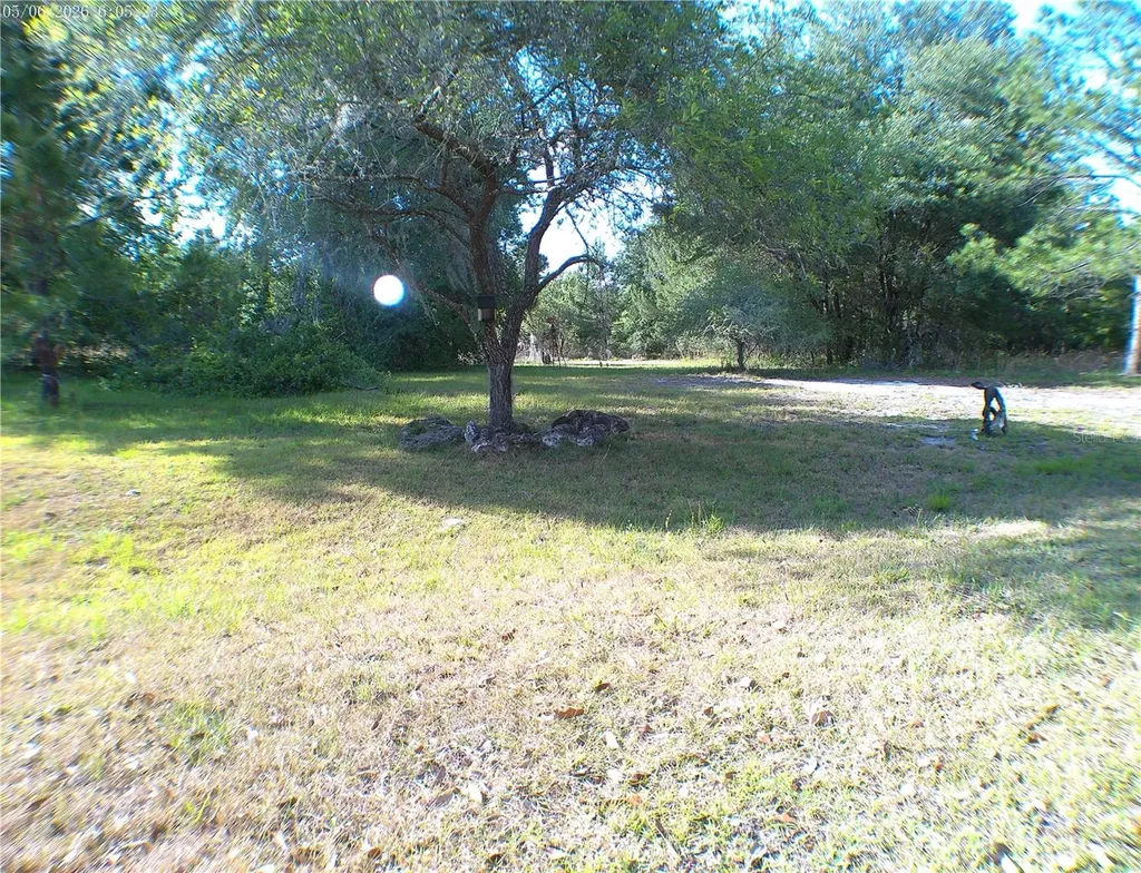 Sequoia Drive Trace Ocklawaha FL 32179