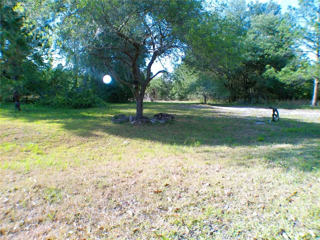 Sequoia Drive Trace Ocklawaha FL 32179